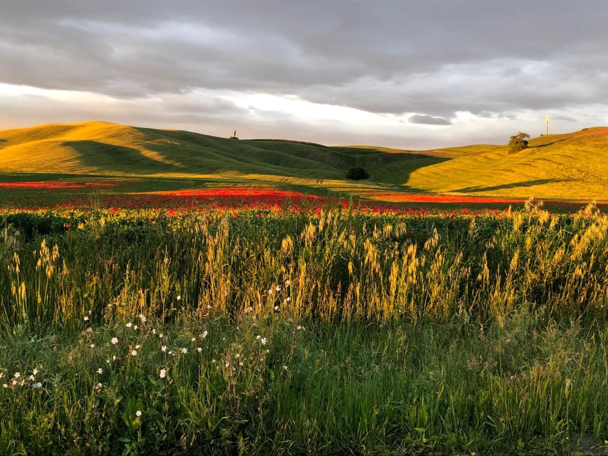 Tuscany Charme Boutique House Monteroni d'Arbia Eksteriør billede